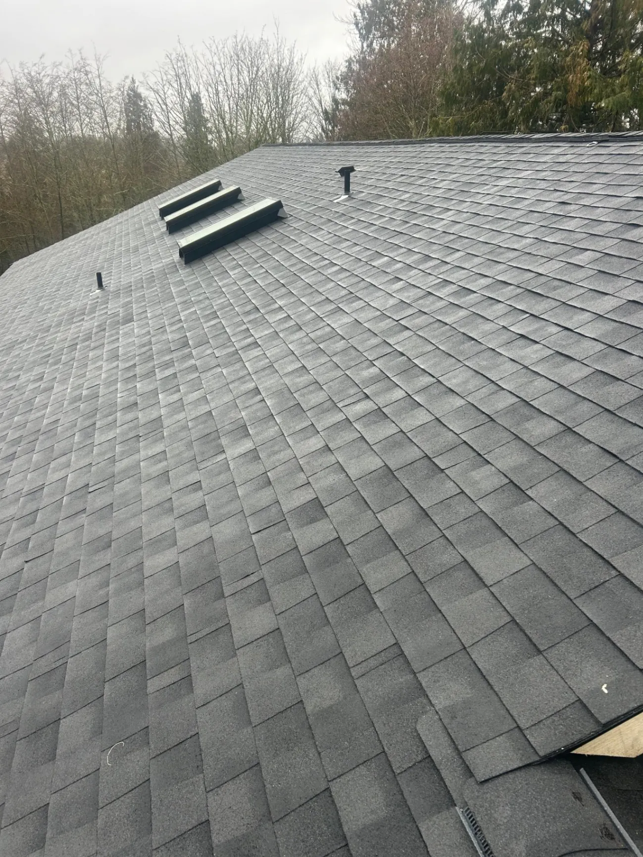 Roof Cleaning