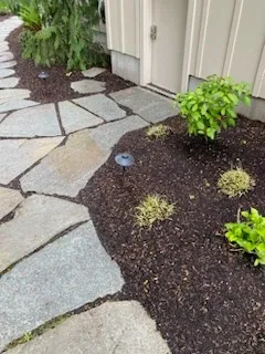 Transforming your outdoor space, one root at a time. - image 3