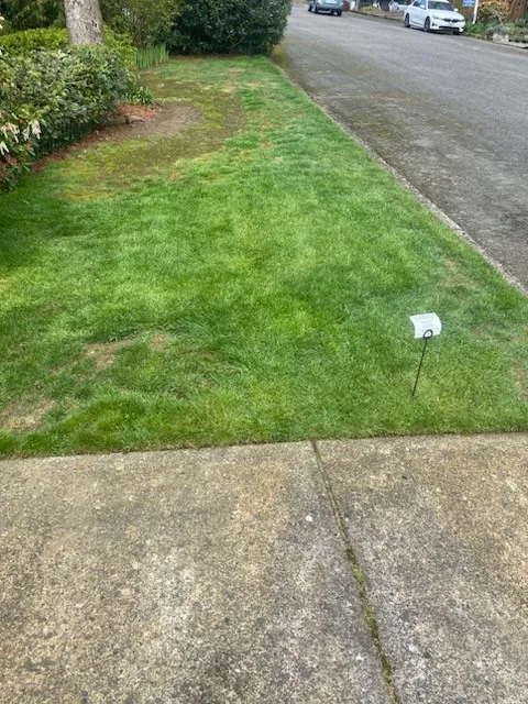 New Roots Landscaping LLC work 1