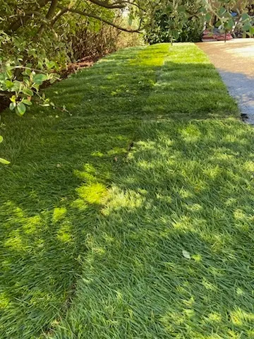 New Roots Landscaping LLC work 2