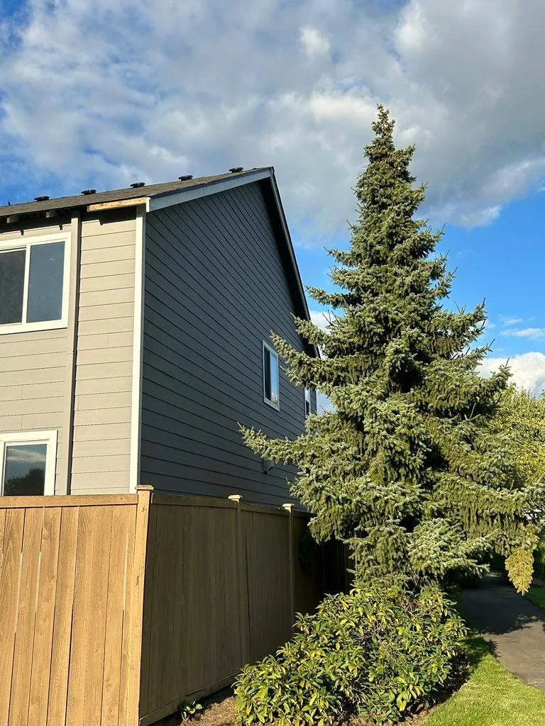 Exterior Painting