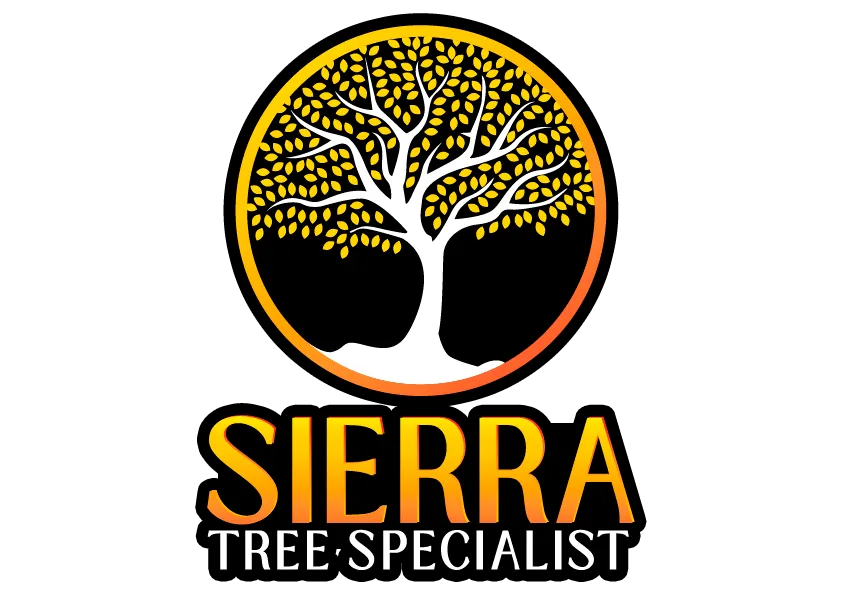 logo Sierra Tree Specialist