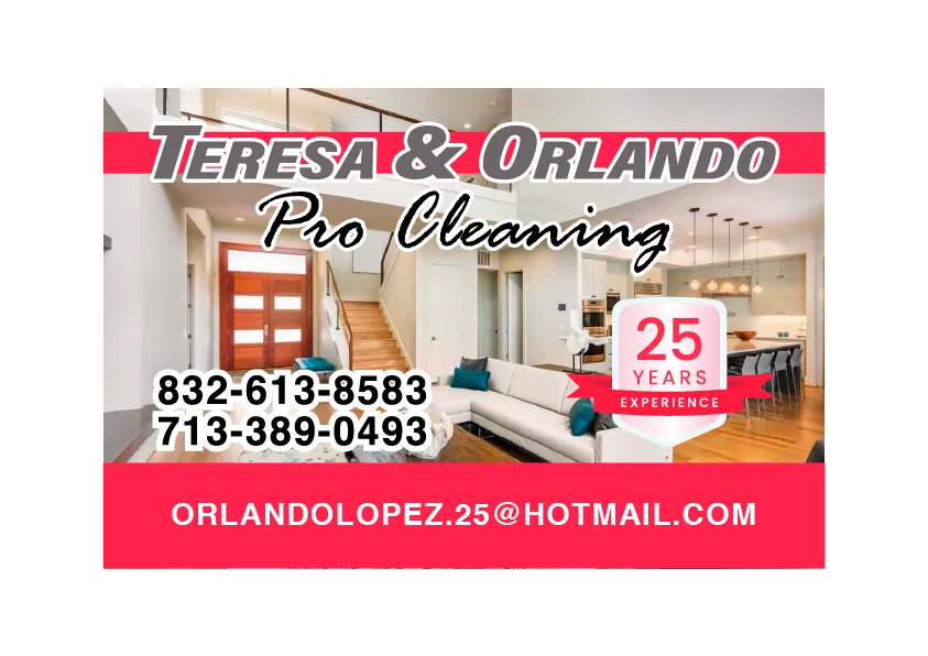 logo Teresa's Pro Cleaning Services