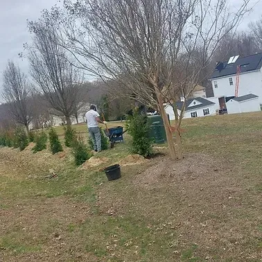 Planting Services background