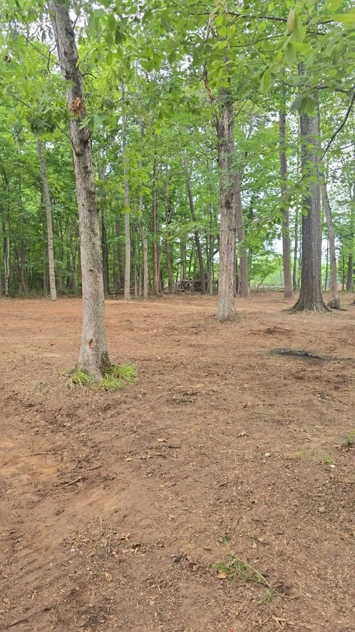Background slide 1