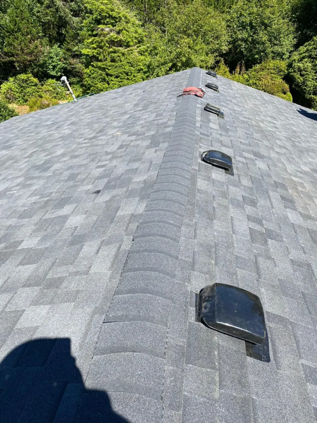 Roofing Services