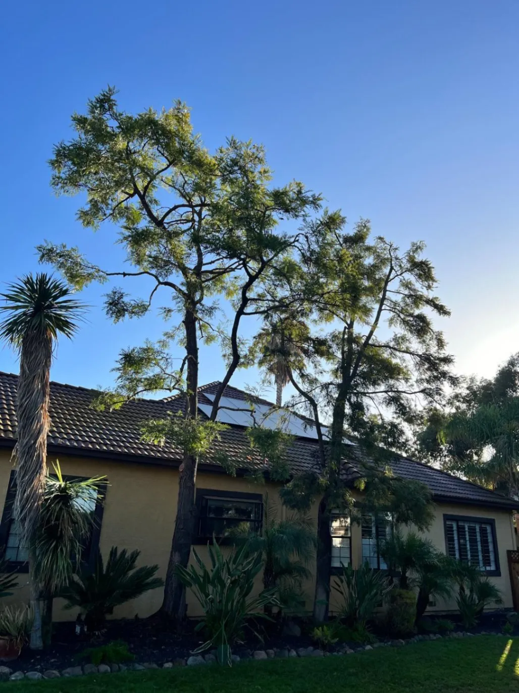 gallery-3