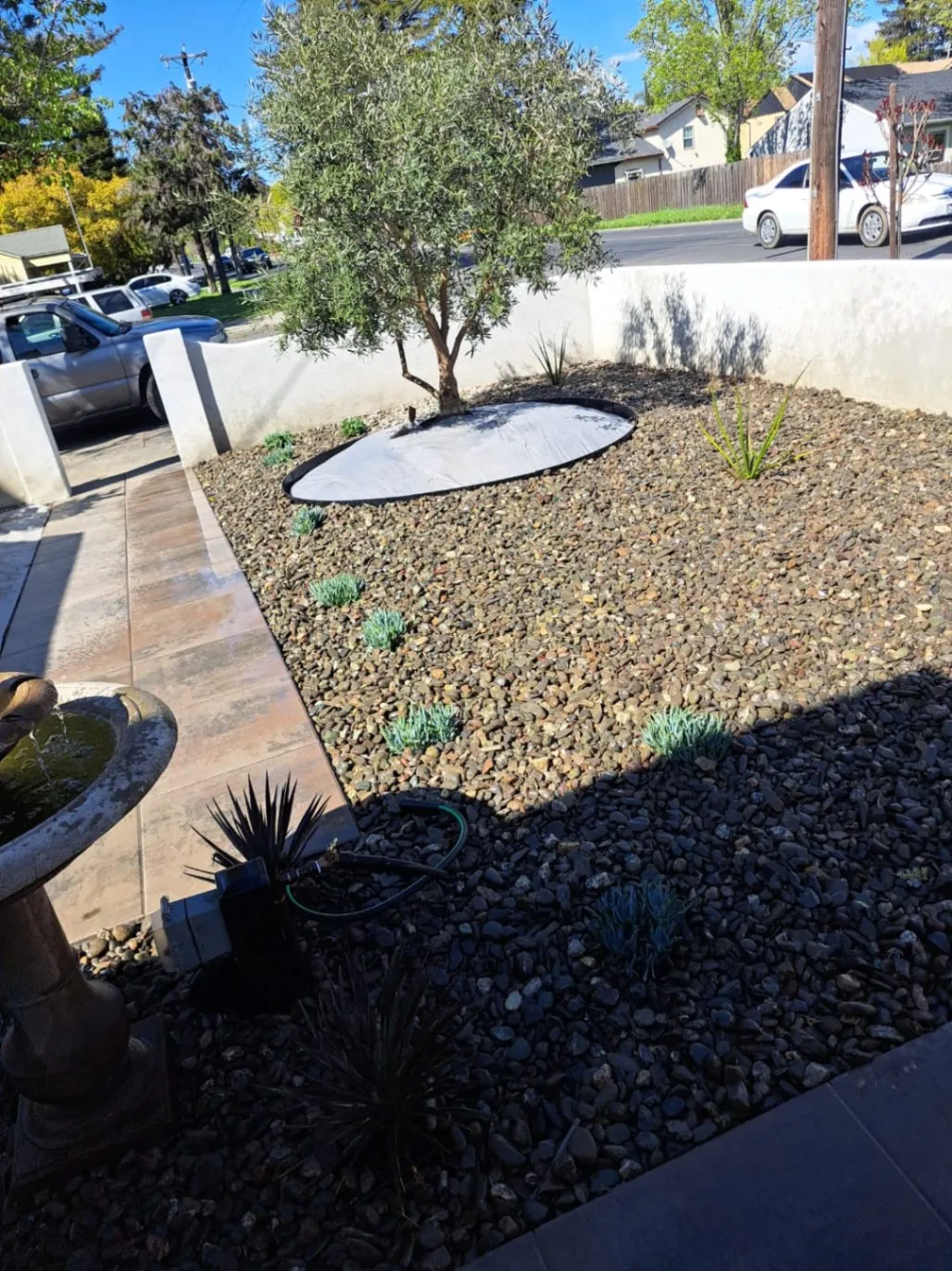 Book professional landscape maintenance services