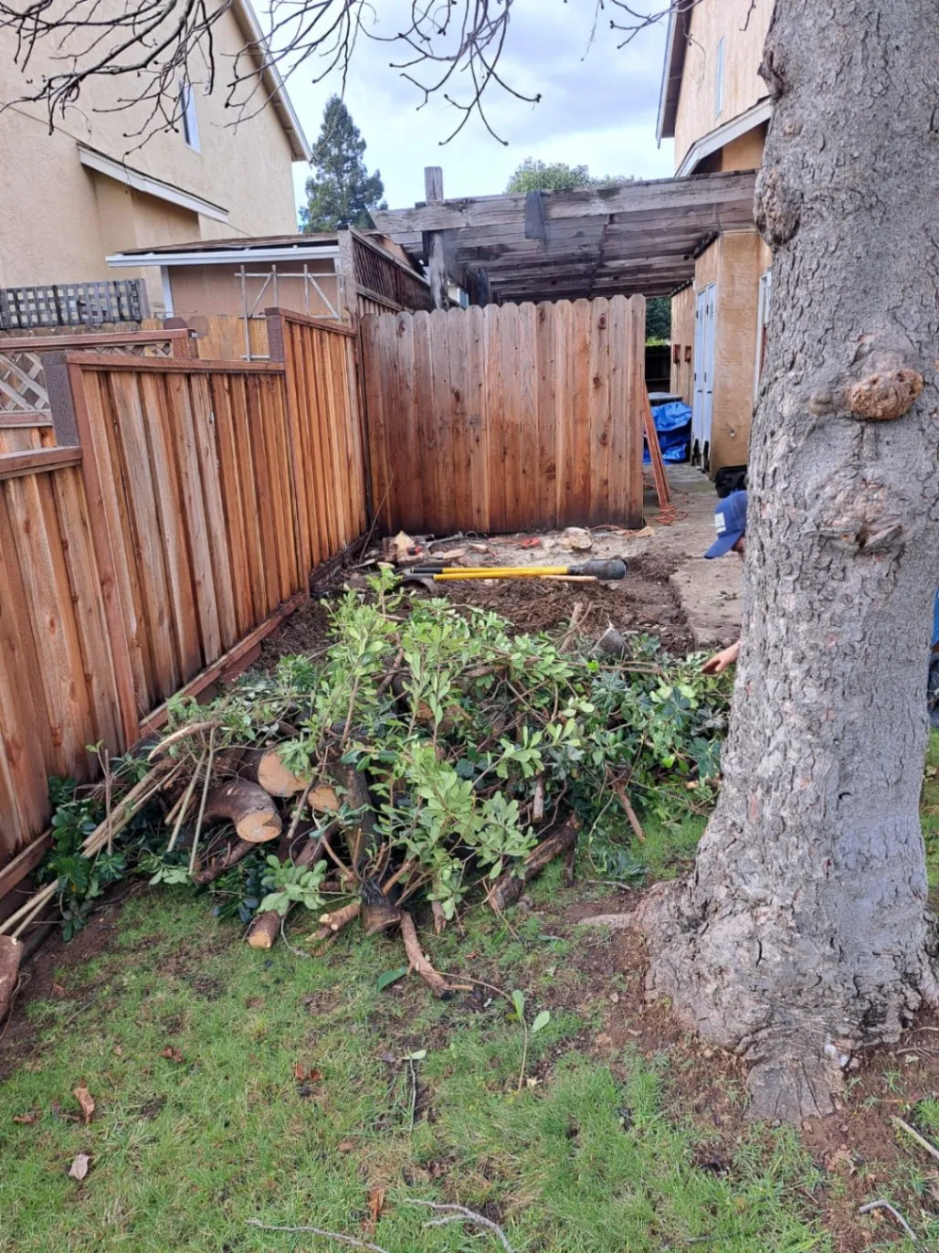 Book professional landscape maintenance services-2