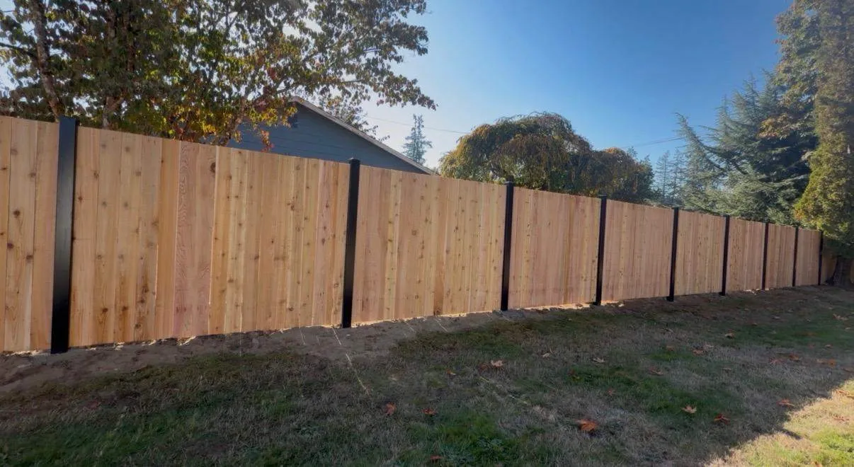 Modern Fencingg