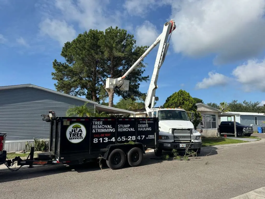 Transform Your Landscape Today-1