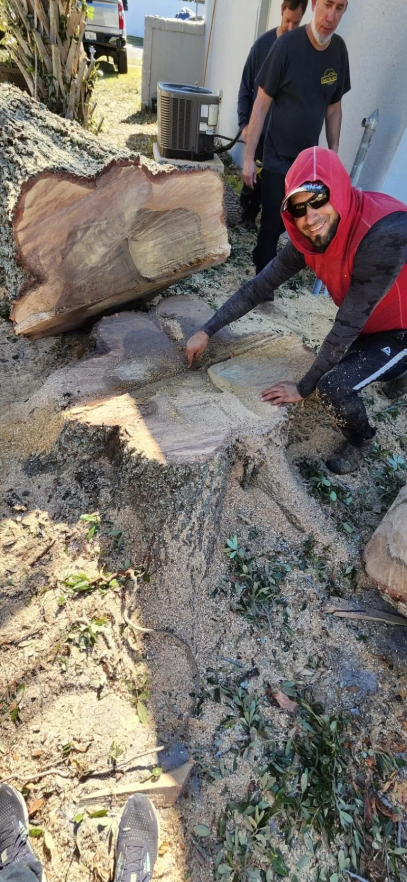 Transform Your Landscape Today-2