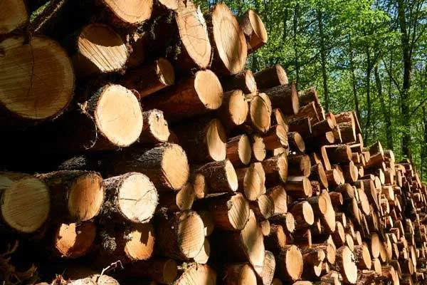 We sell logs for firewood background