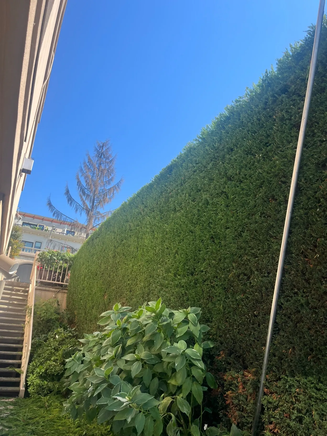 Unmatched Professional Landscaping Services-thumb