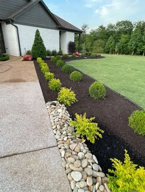 Elevate Your Lawn to Perfection-thumb