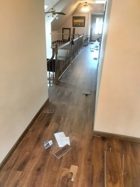cleaner3