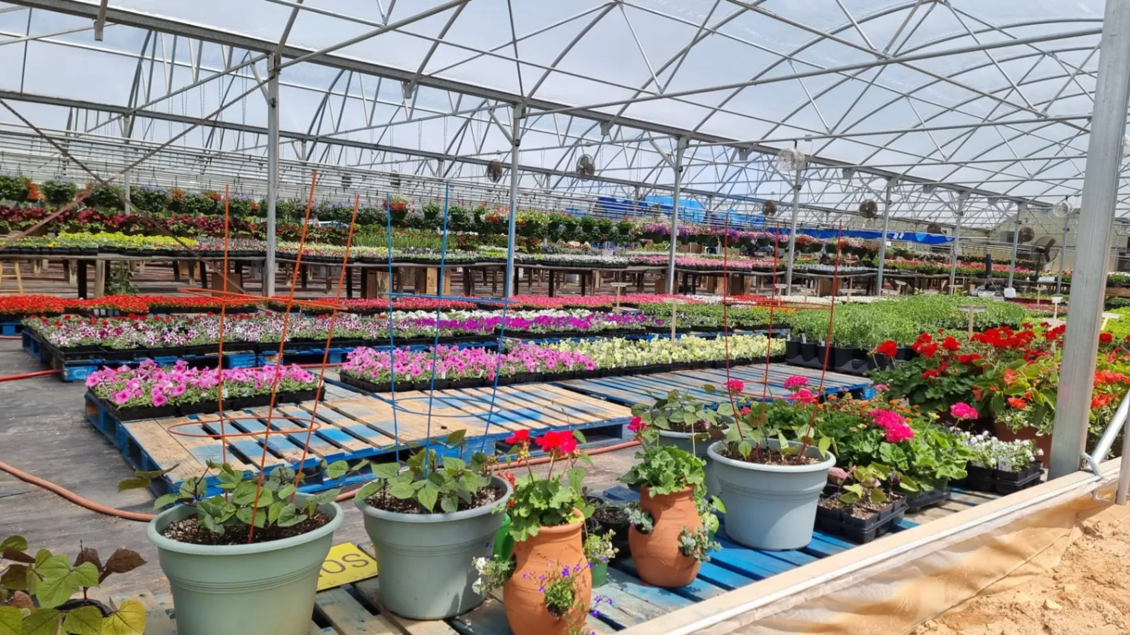We can build your greenhouse exactly the way you want it, fully customized to fit your needs and goals.-1