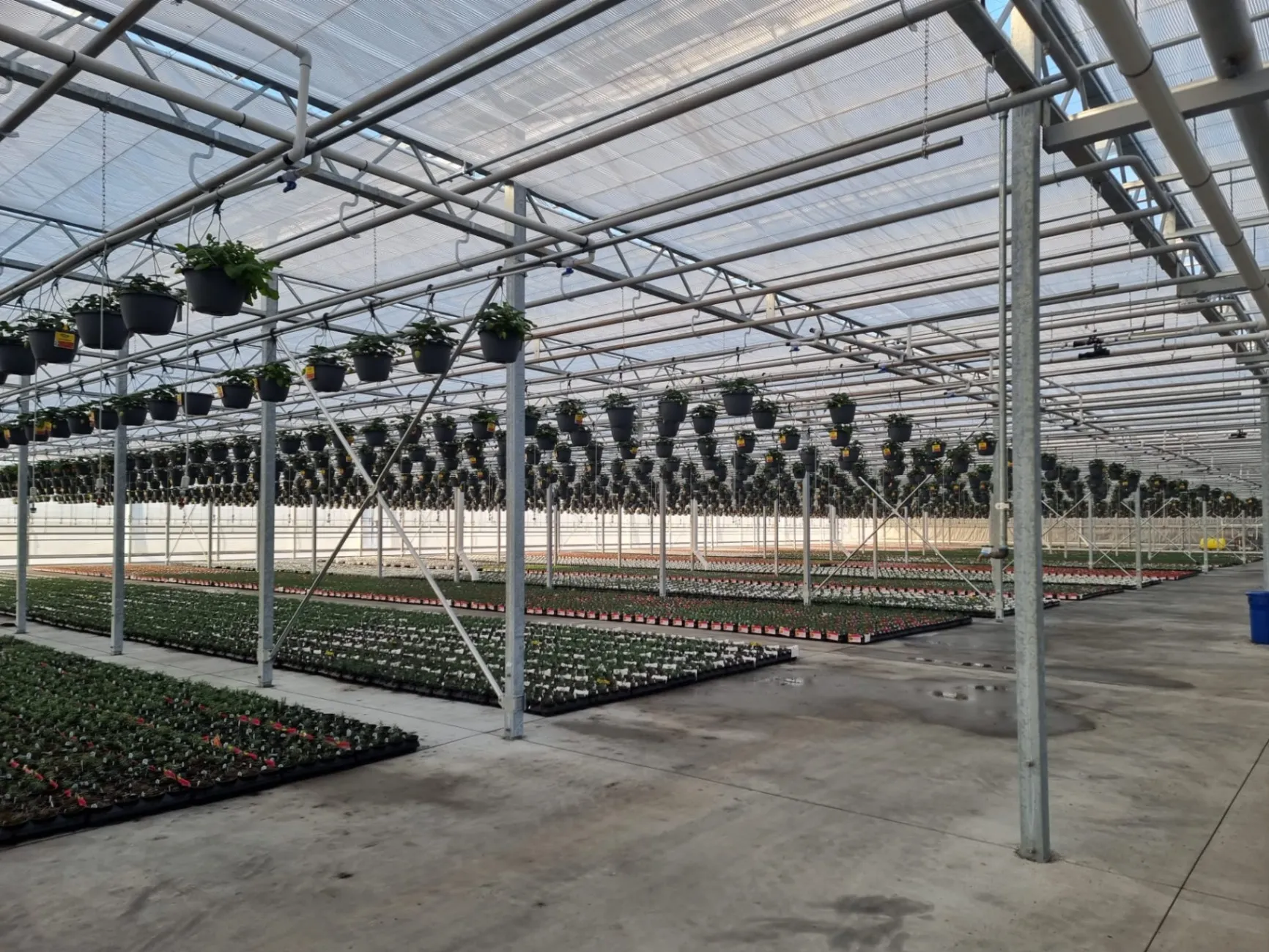 We can build your greenhouse exactly the way you want it, fully customized to fit your needs and goals.-2