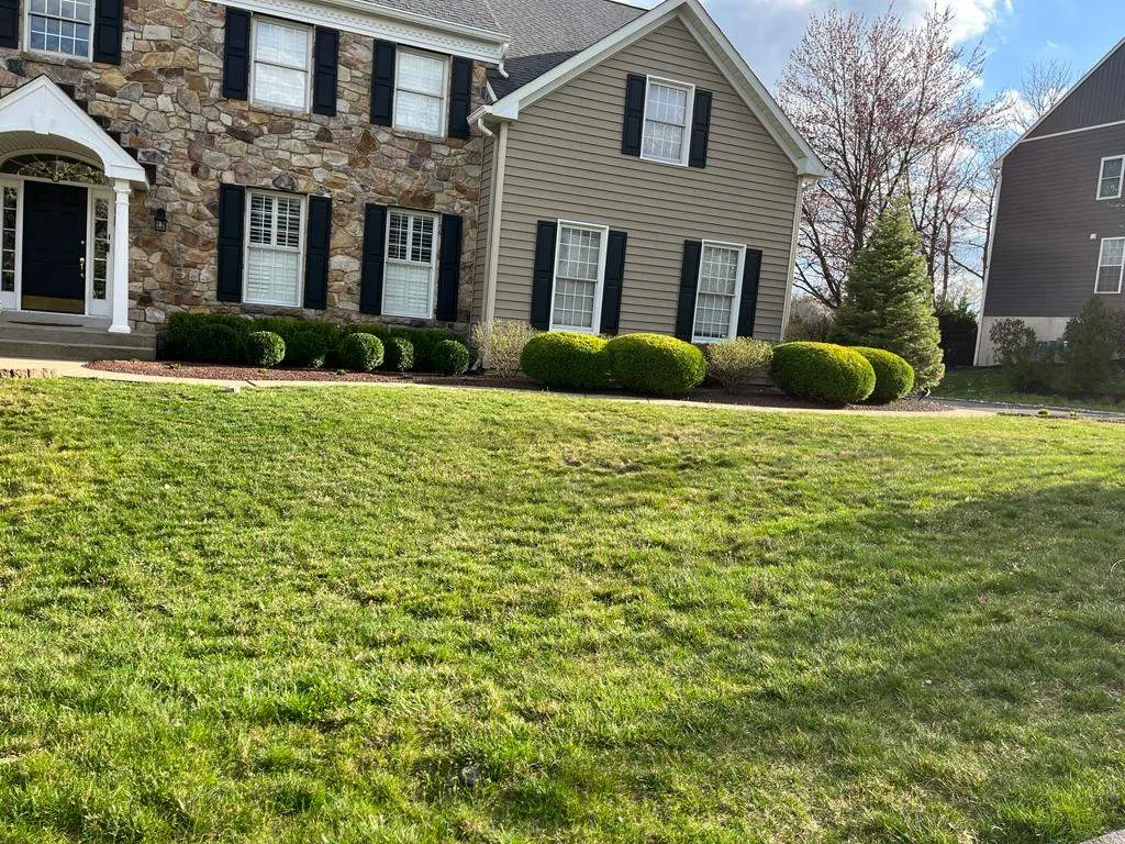 Landscape Maintenance background