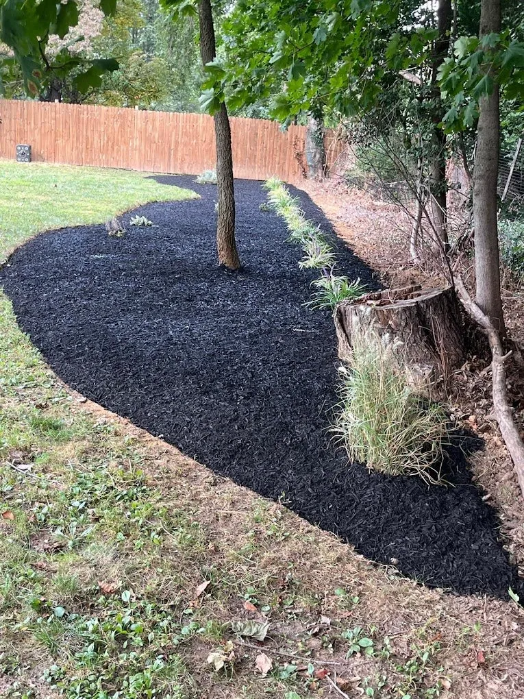 Transform Your Outdoor Oasis