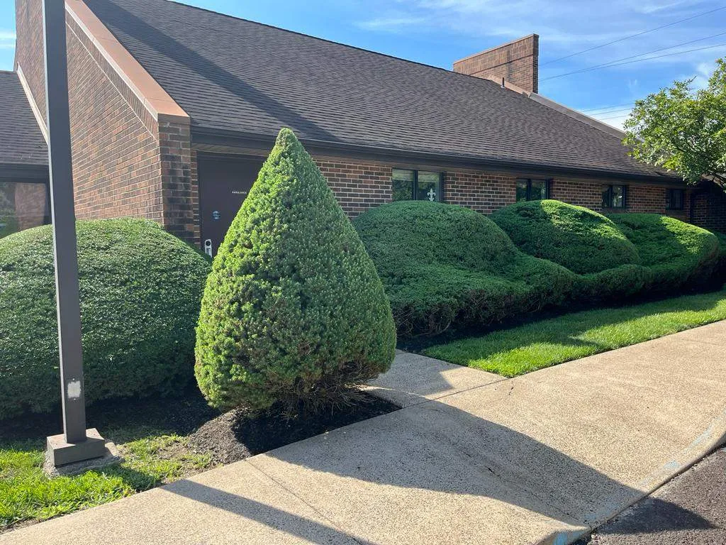 Transform Your Outdoor Oasis-thumb