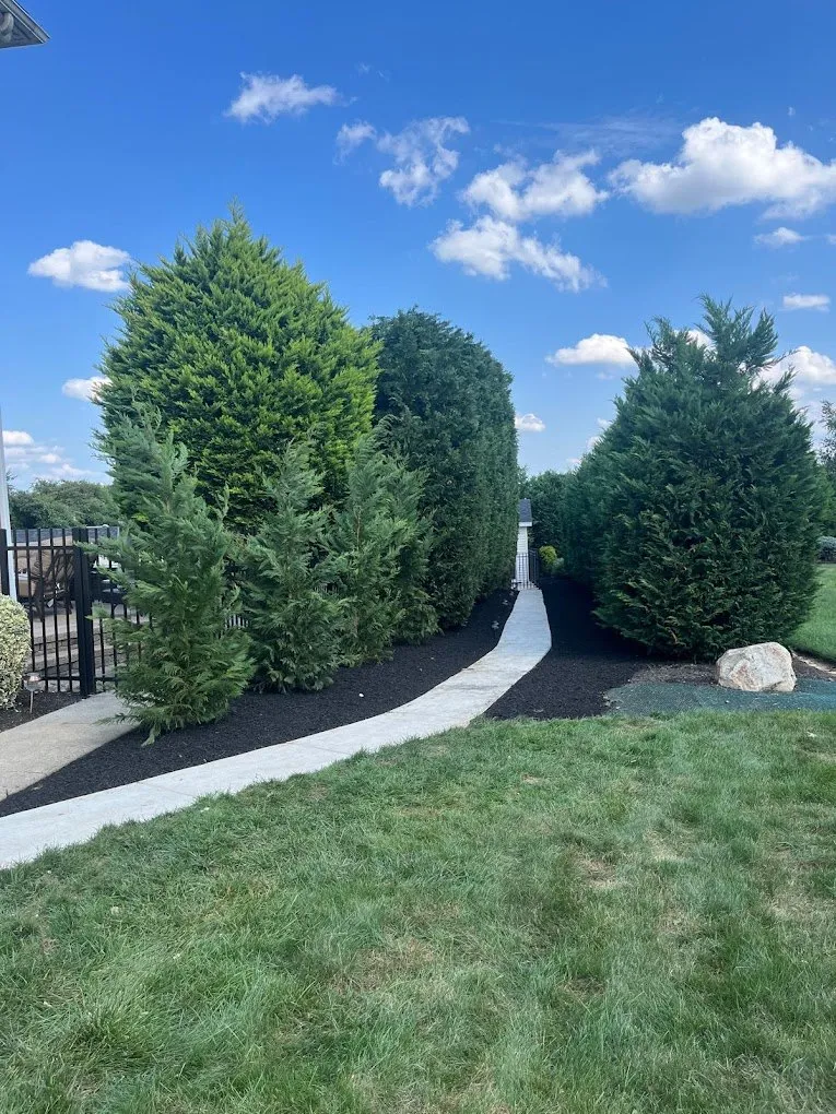 Lawn Care Services background