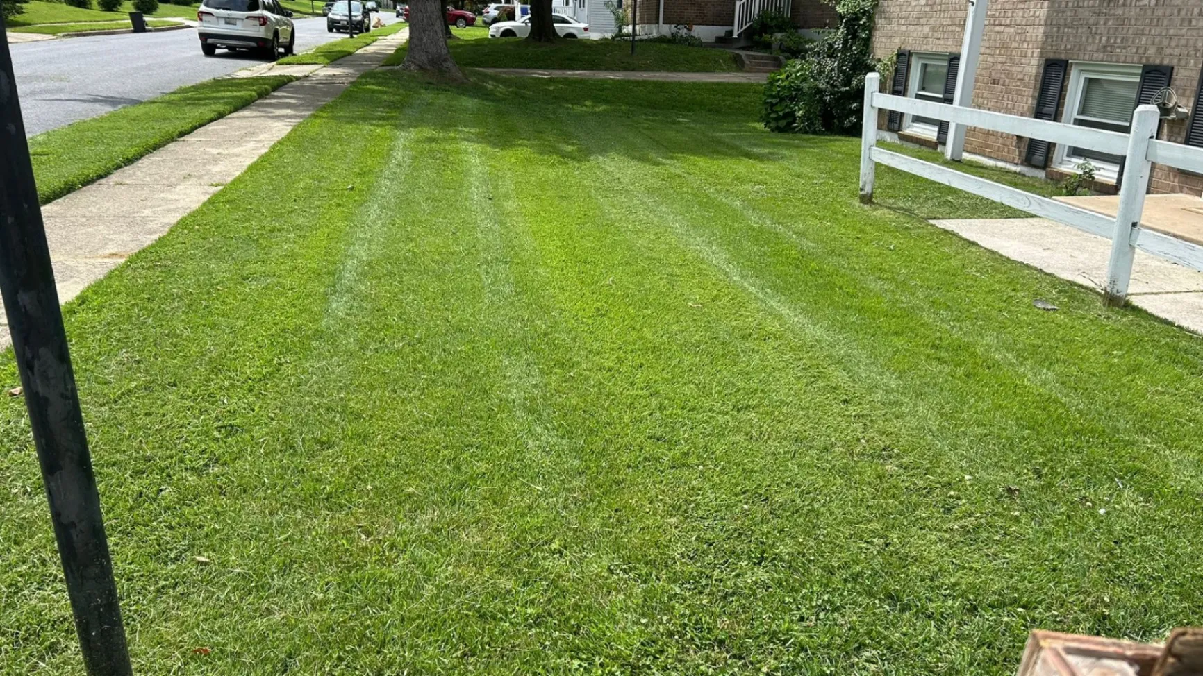 Lawn Care Services background