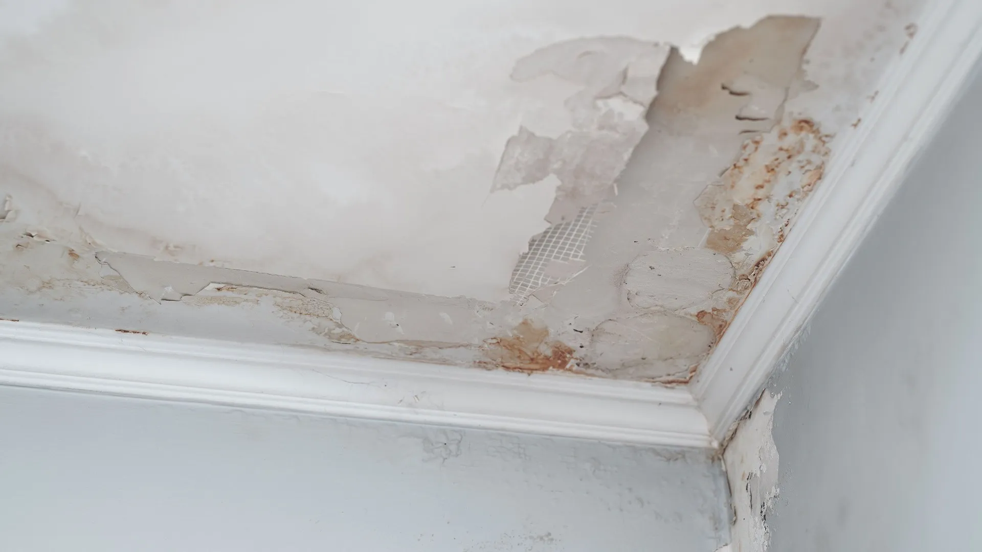 Water Damage Repair background