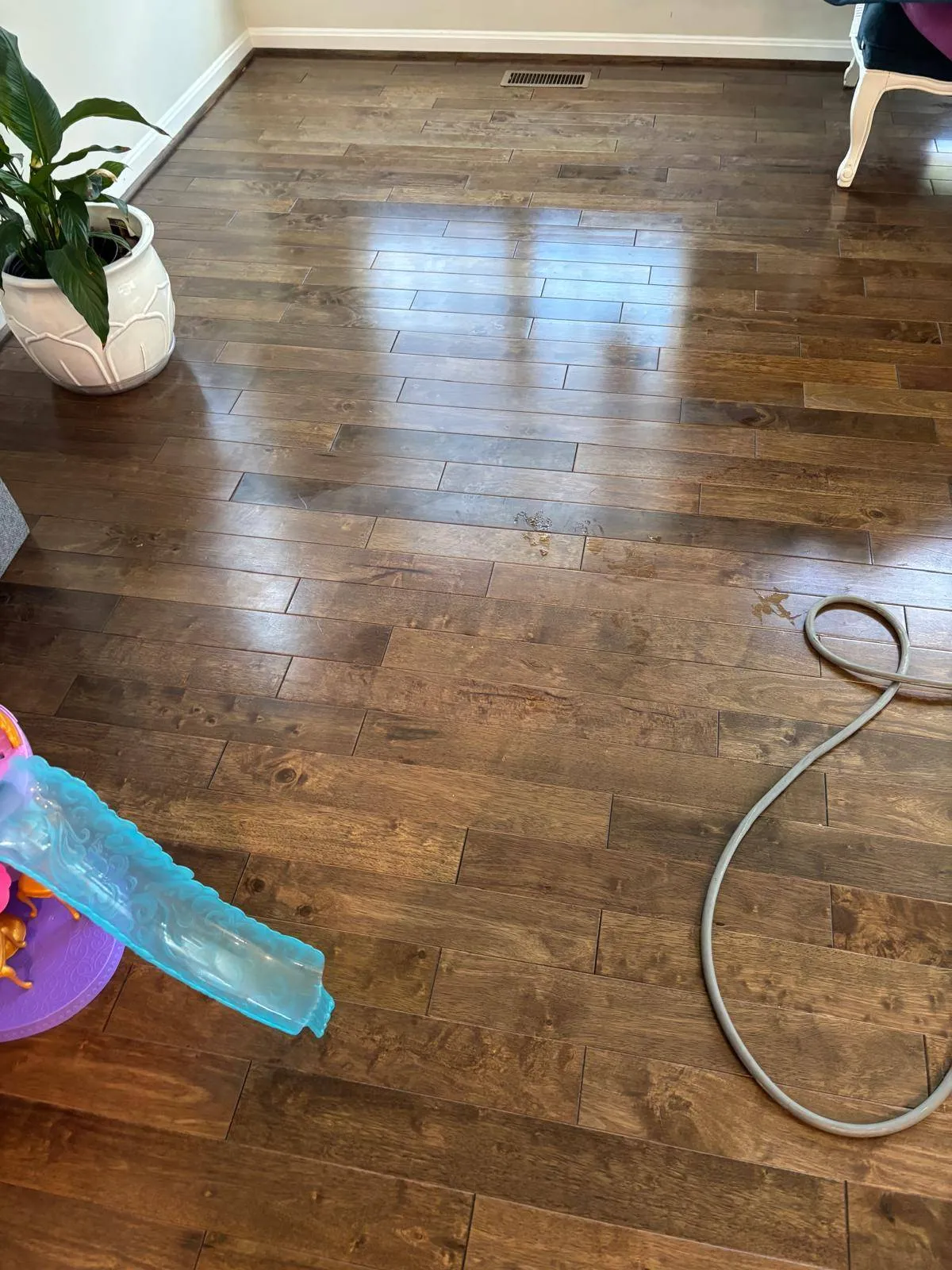 cleaner3