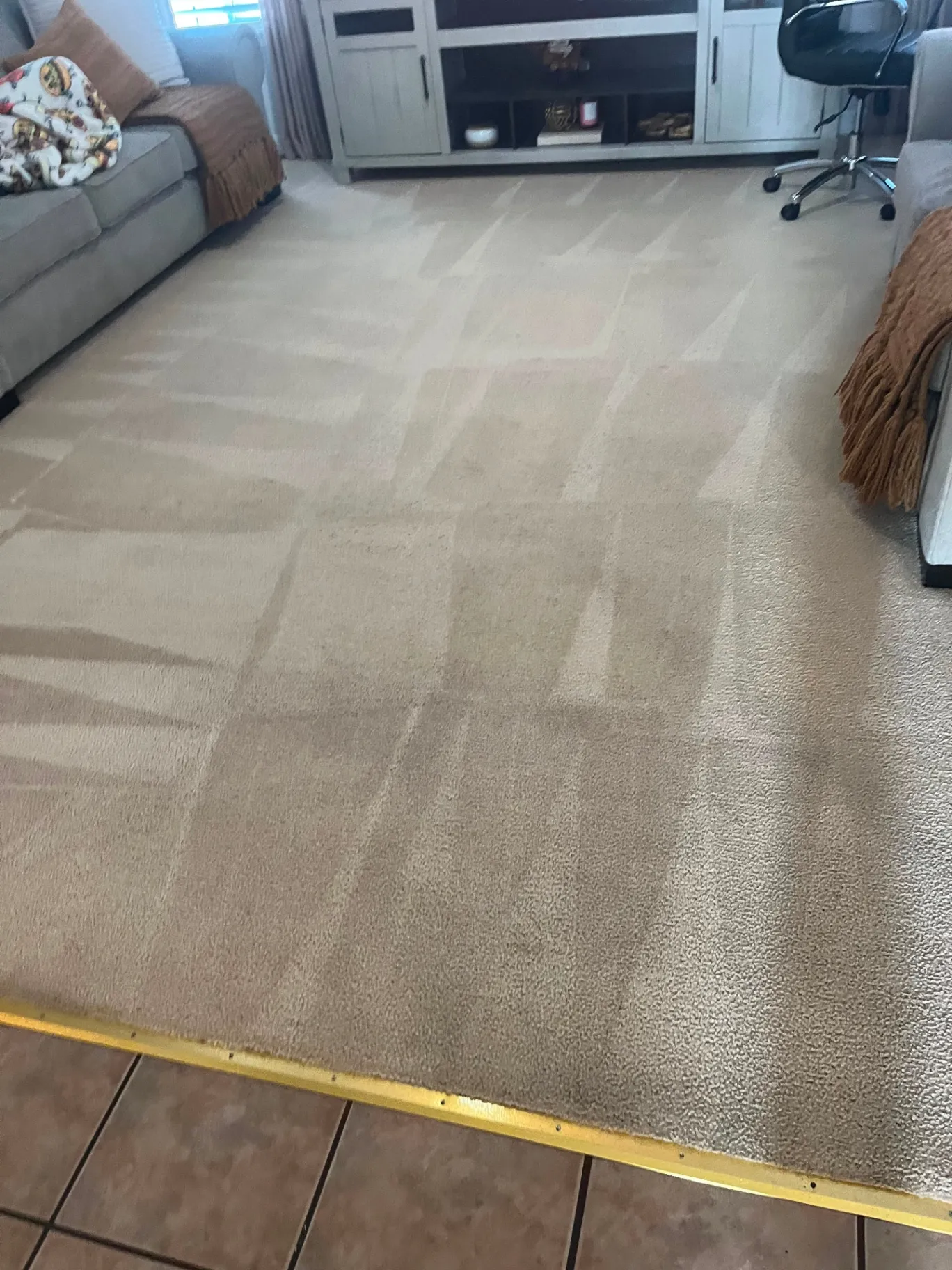cleaner2