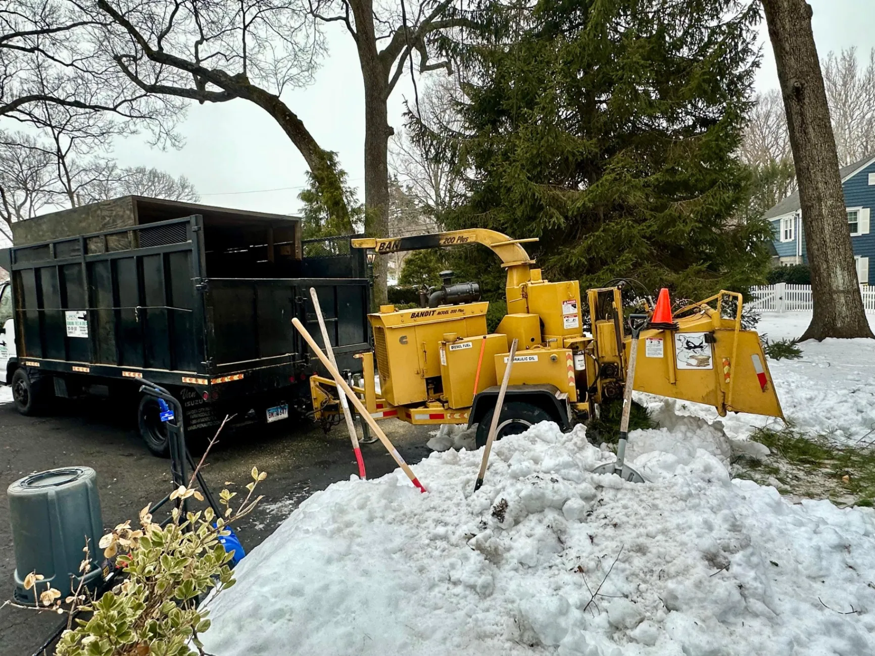 Trusted Tree and Garden Care in Stamford - image 1