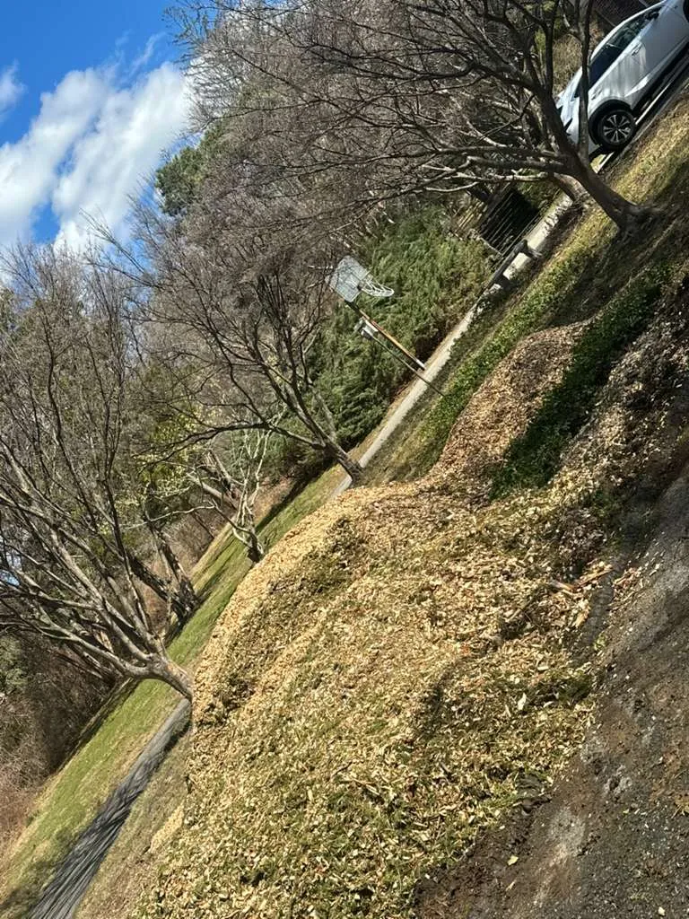 Trusted Tree and Garden Care in Stamford - image 2
