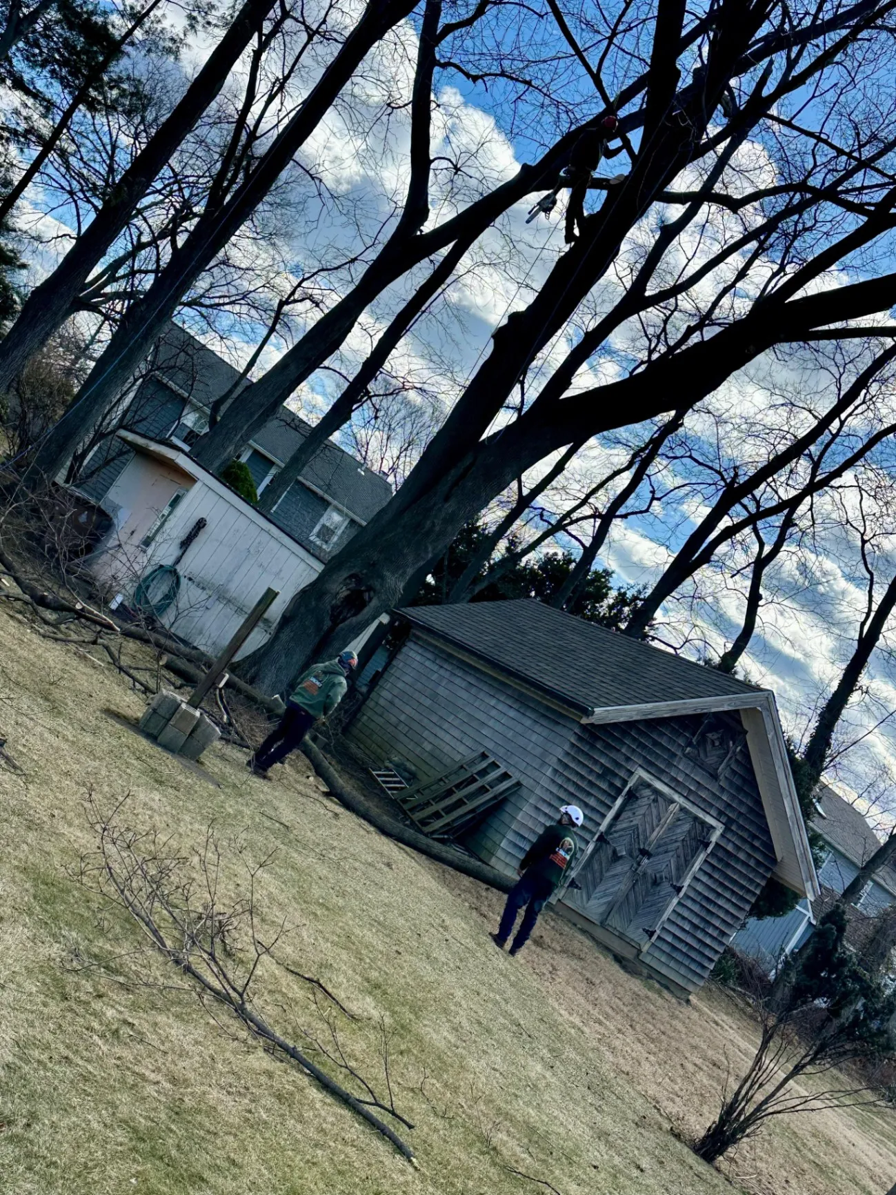 E. Sanchez Tree services LLC featured