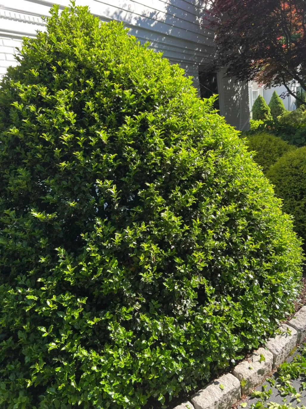 Transform Your Outdoors Today-thumb