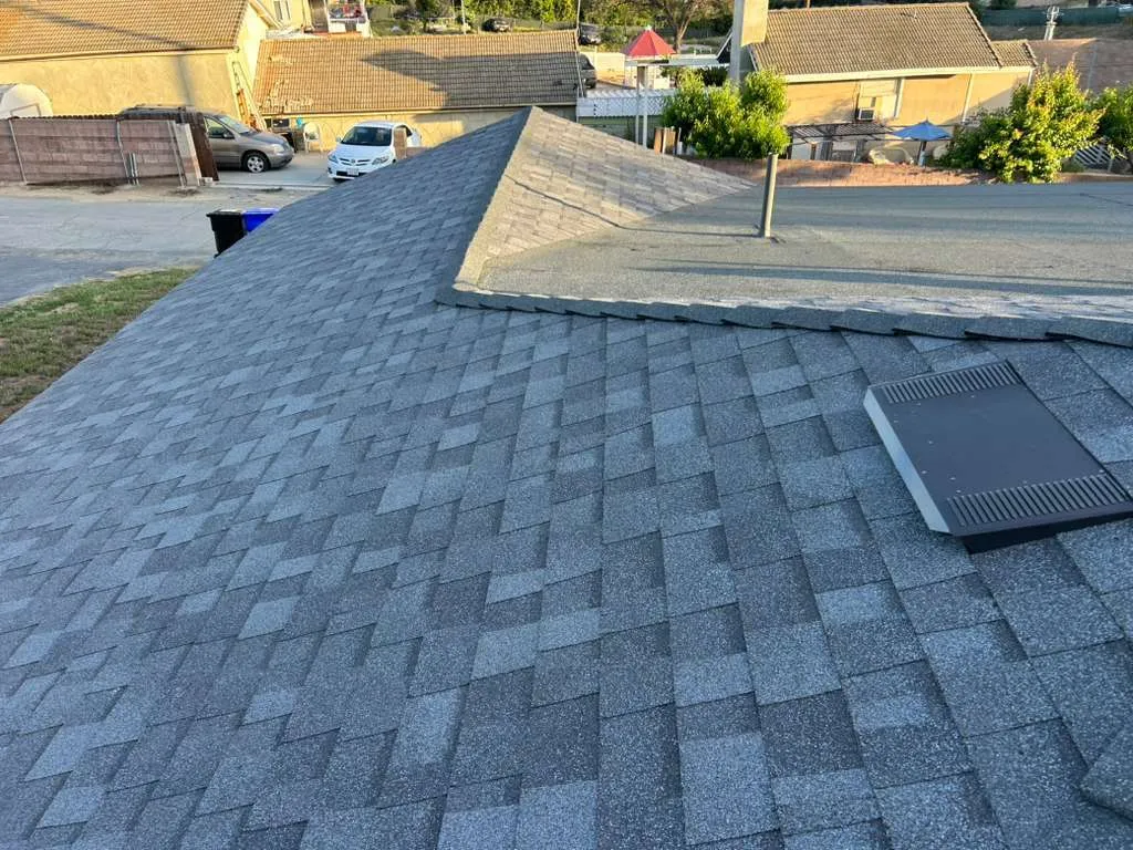 Top Choice Roofing & Tear Off Inc team and work