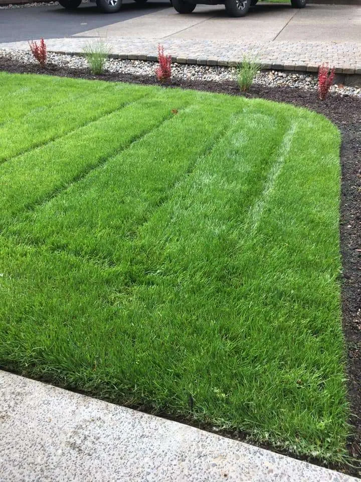 Transform Your Outdoor Space with Bau NW Landscape!