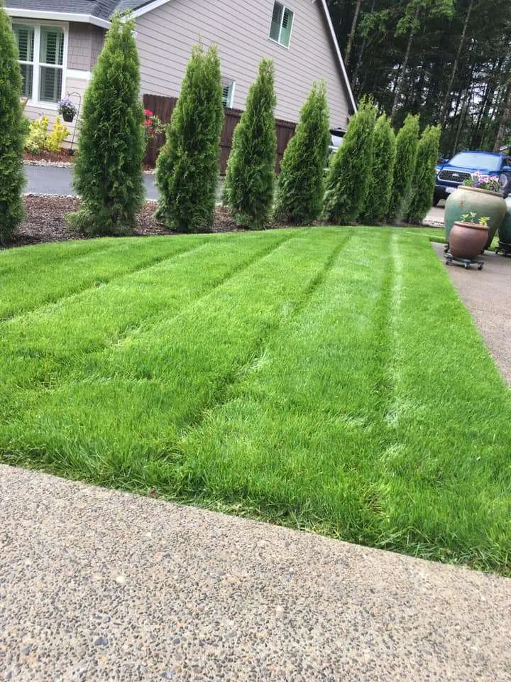 Transform Your Outdoor Space with Bau NW Landscape!
