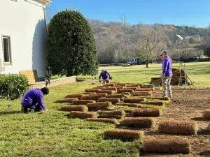 Garden Restoration background