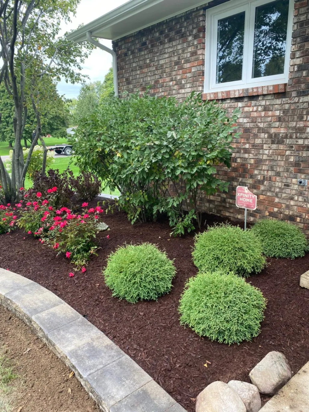 Planting Trimming