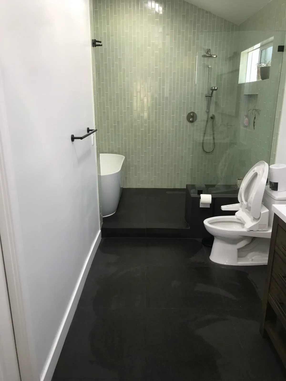 IMG1