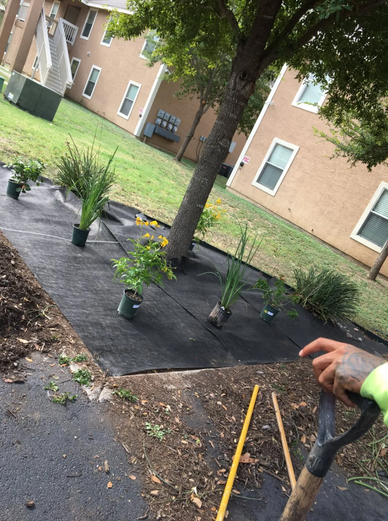 Green up your lawn with our expert care.