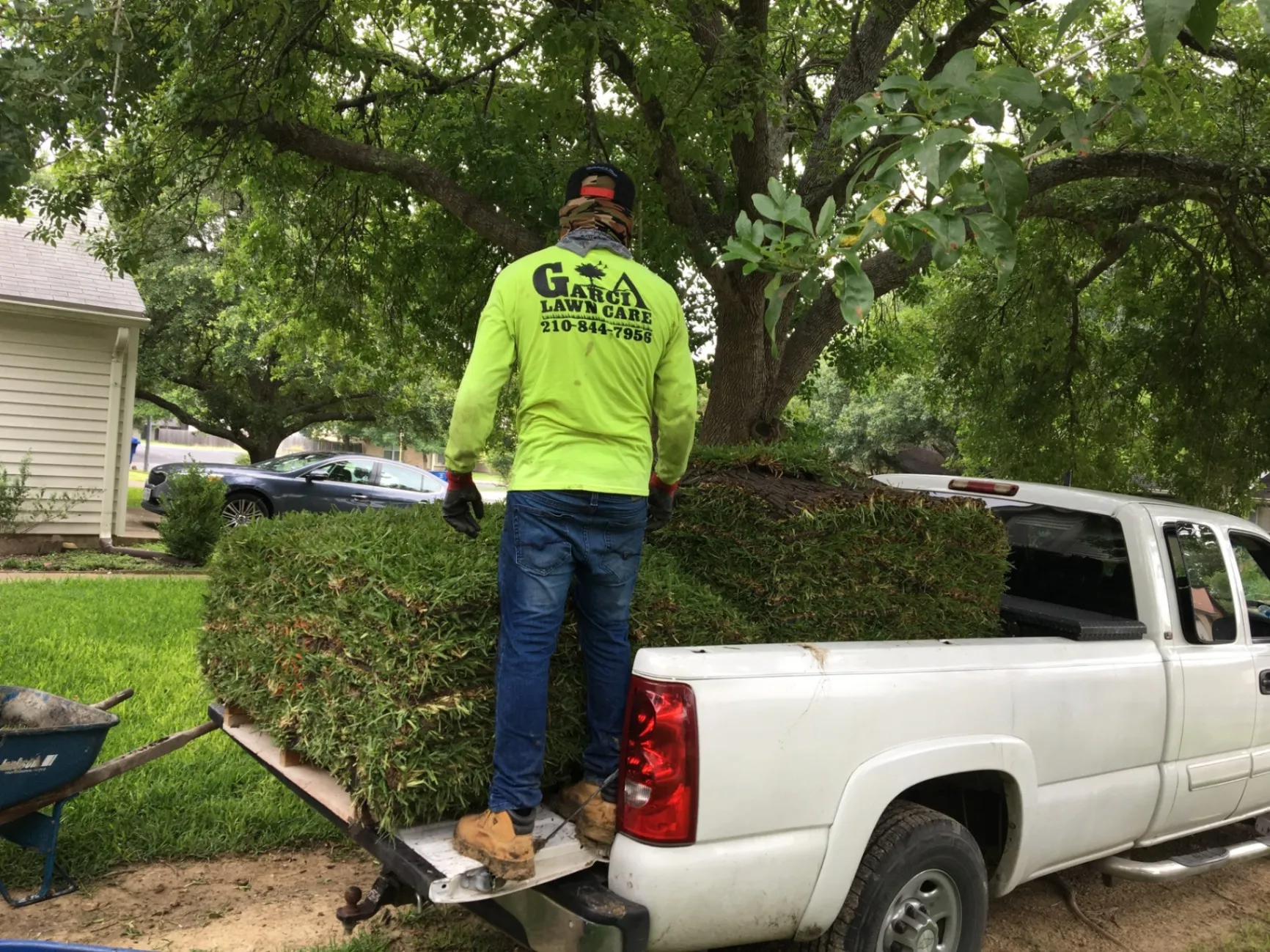 Green up your lawn with our expert care. detail