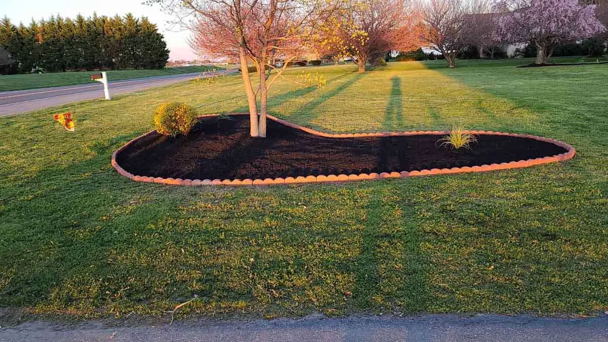 Two decades of expertise shaping your perfect landscape