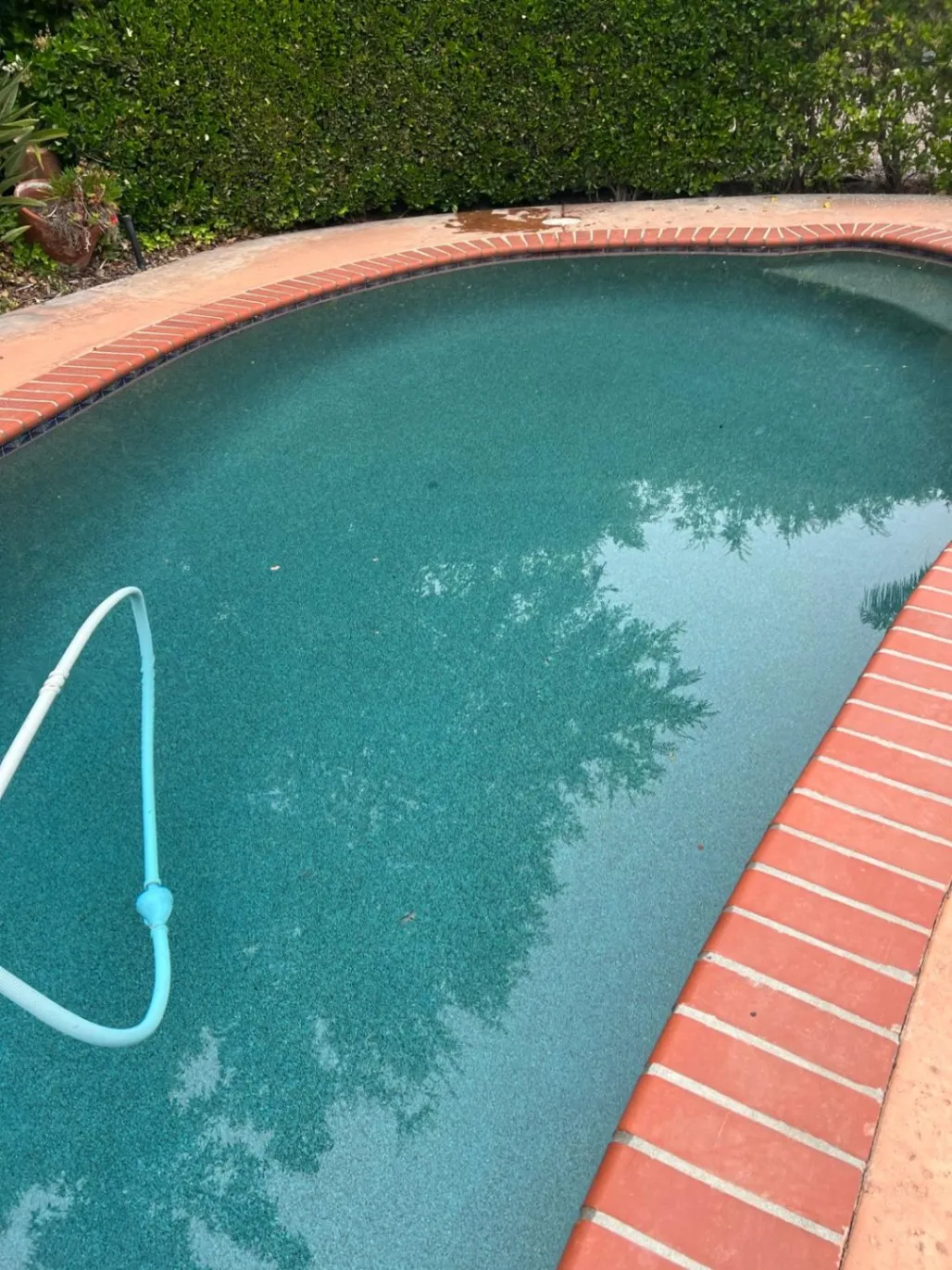 Esteban Pool Service