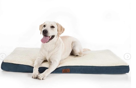 Photo 1 of Large Orthopedic Washable Dog Bed 36x27 inches