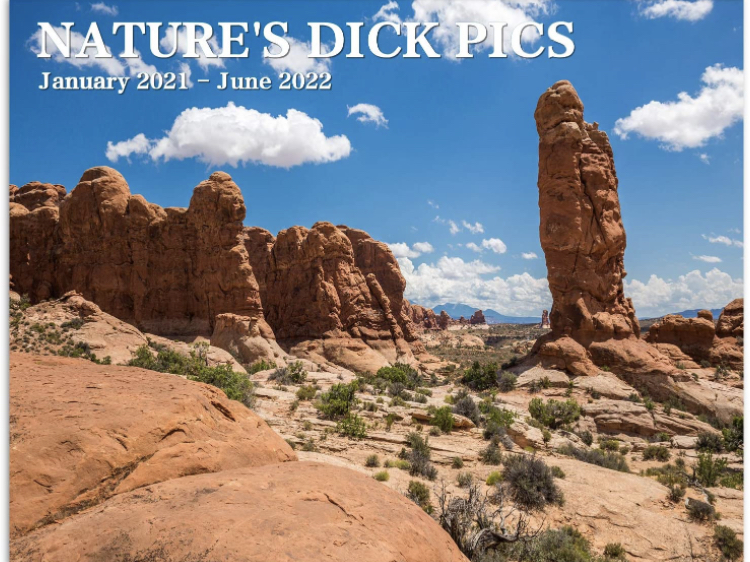 Photo 1 of 20212022 Wall Calendar  20212022 Wall Calendar with Natures Dcks Pics 18 Month Calendar 20212022 for White Elephant from Jan 2021 to Jun 2022 Large Size 17 x 11Unfold 11 x 85Fold 2 packs

EMOCCI Bubble Gun Gatling Bubble Machine Automatic Bubble Blaster 2