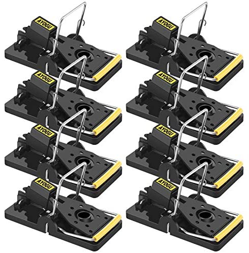 Photo 1 of ayogu mouse trap t970 pack of 8