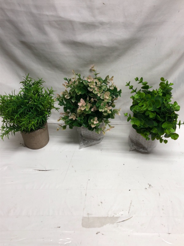 Photo 1 of 3 PACK ARTIFICIAL PLANTS IN POTS