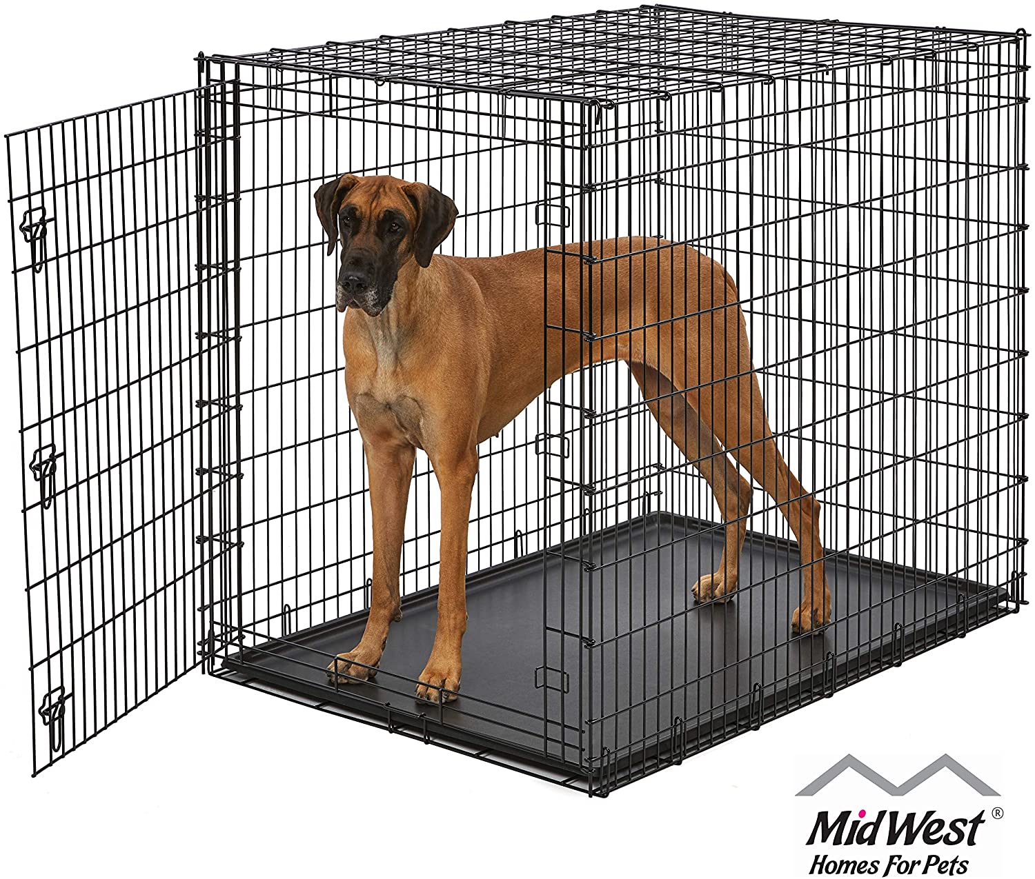 Photo 1 of MidWest Homes for Pets XXL Giant Dog Crate  54Inch Long Ginormous Dog Crate Ideal for a Great Dane Mastiff St Bernard  Other XXL Dog Breeds