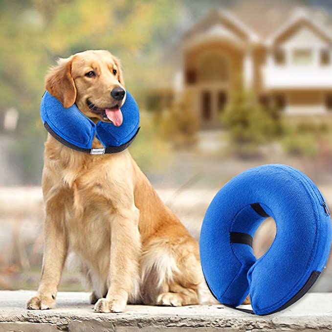 Photo 1 of BENCMATE Protective Inflatable Collar for Dogs and Cats  Soft Pet Recovery Collar Does Not Block Vision ECollar
SIZE XL